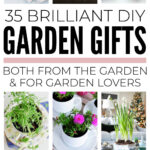 Inexpensive DIY Garden Gifts
