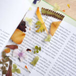 Pressed Flower Bookmarks As A DIY Garden Gift