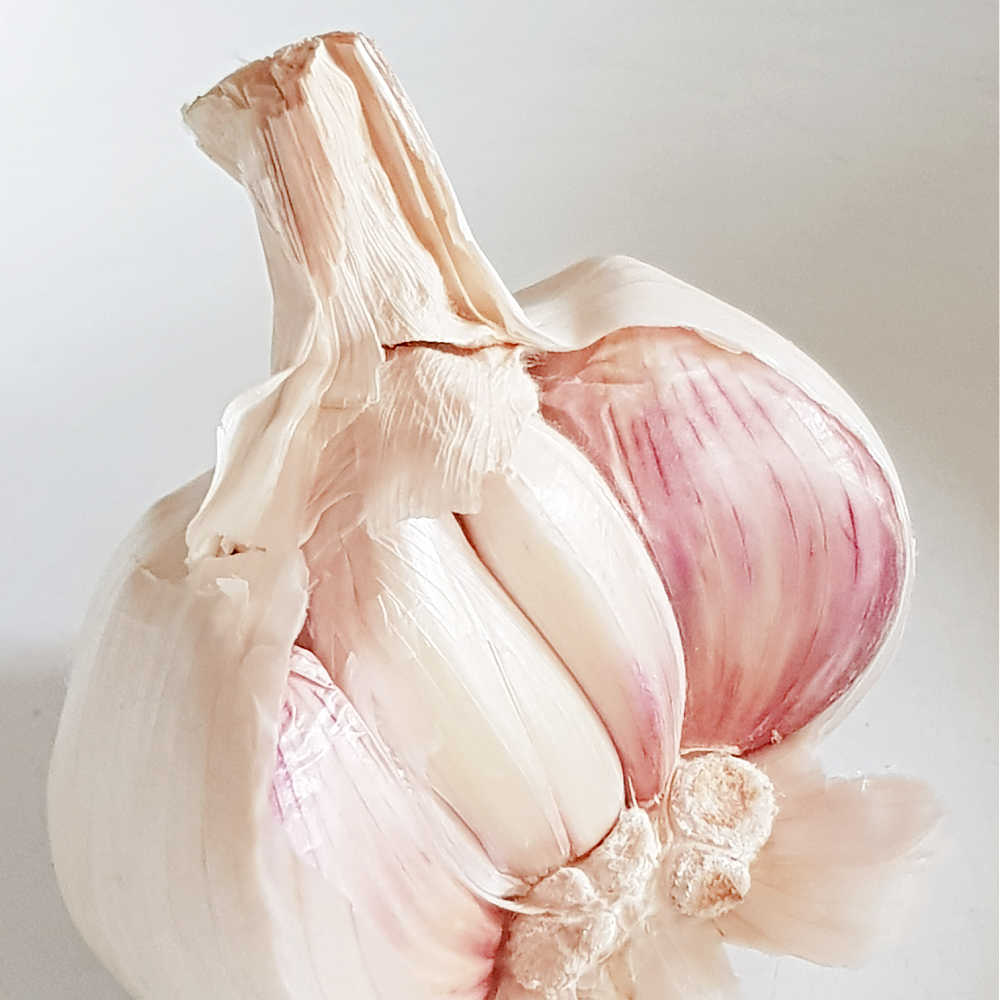 How To Grow Garlic From Cloves