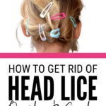 Get Rid Of Head Lice Quickly & Easily