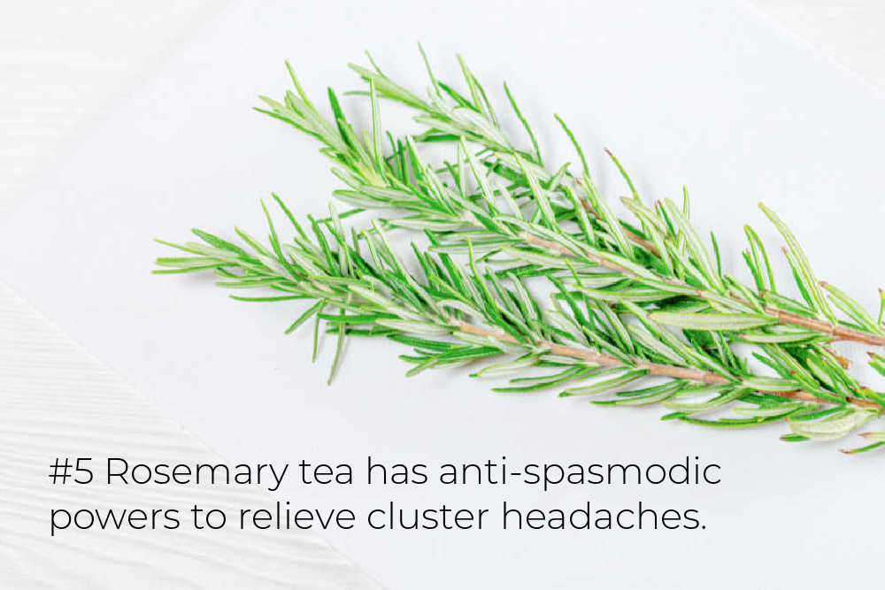 Rosemary Headache Tea For Cluster Headaches