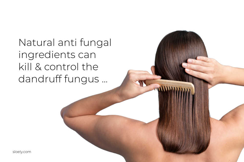Natural Anti Fungal Ingredients Can Kill Dandruff