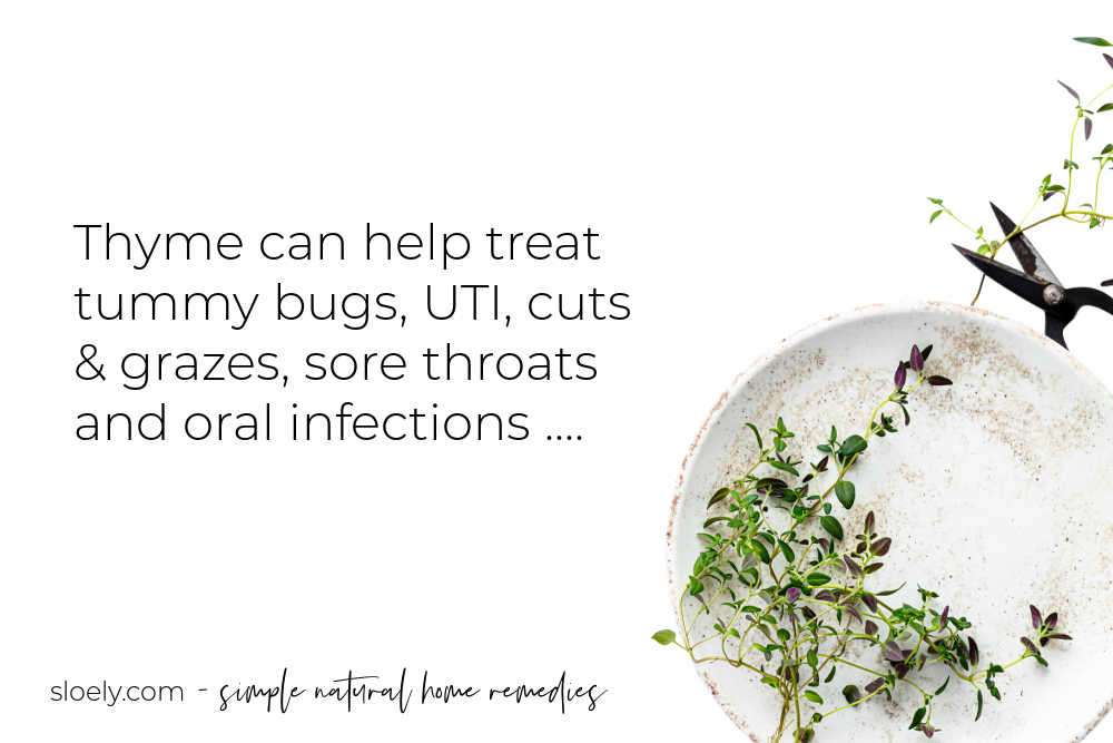 Thyme As A Natural Antibiotic
