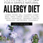 Antihistamine Ingredients For An Allergy Diet