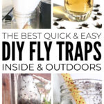 Best DIY Fly Traps