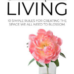 Clutter Free Living
