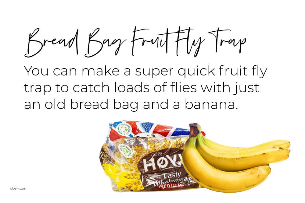 Fruit Fly Trap With Bread Bag & Banana