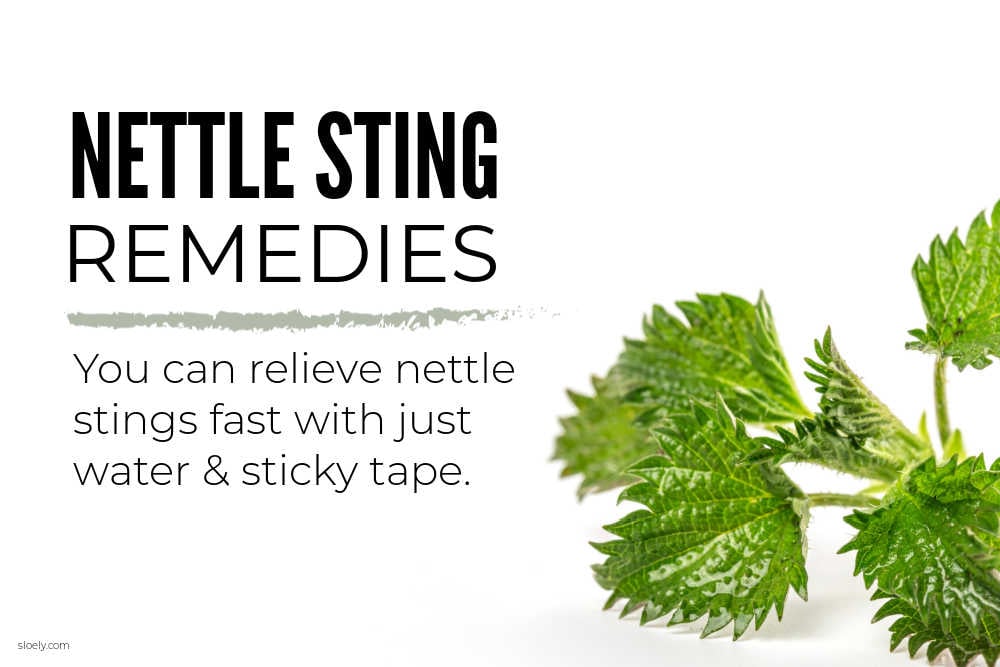 Nettle Sting Remedies