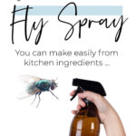 Non Toxic DIY Fly Spray