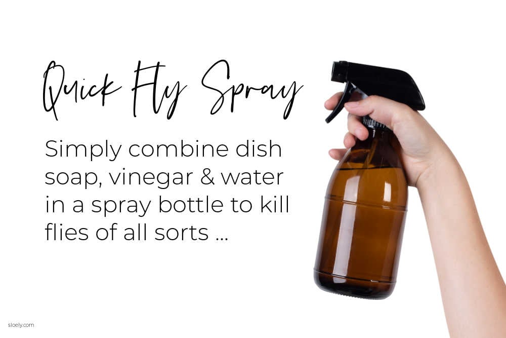 Quick DIY Fly Spray