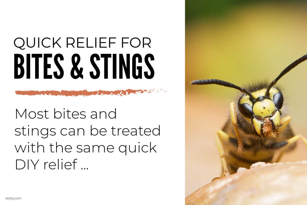 Quick DIY Remedies For Bites And Stings