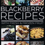 Blackberry Recipes With Fresh & Frozen Fruit