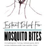 Instant Mosquito Bite Relief