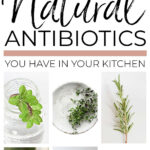 Natural Antibiotics For DIY Home Remedies