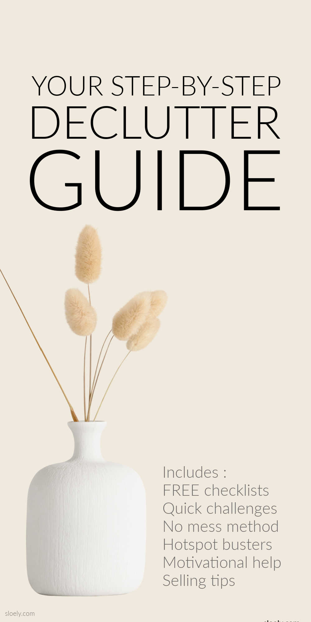 Declutter Guide