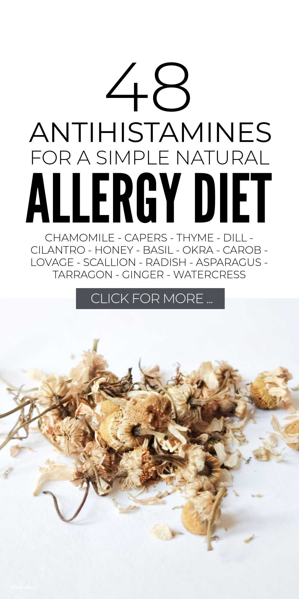 Natural Antihistamines For Allergy Relief
