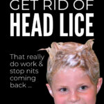 Best Ways To Get Rid Of Head Lice