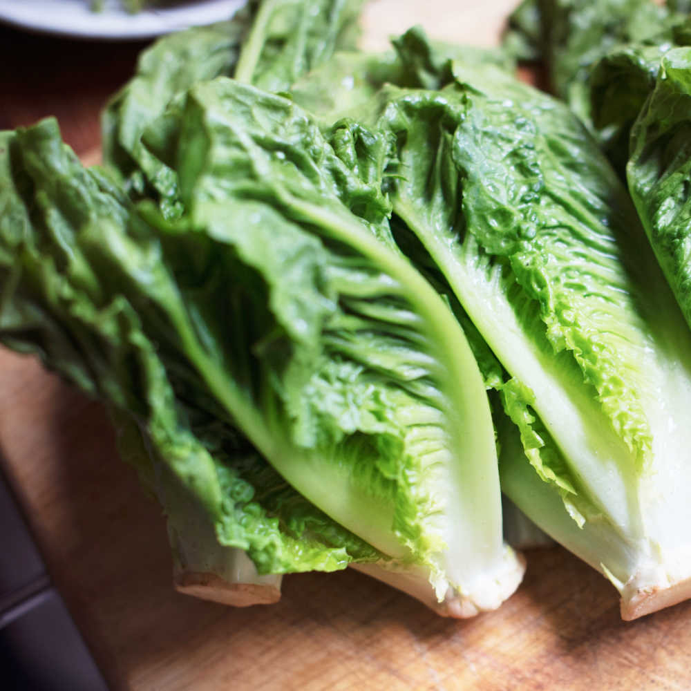 Best Food For Heartburn - Low Gas Green Vegetables