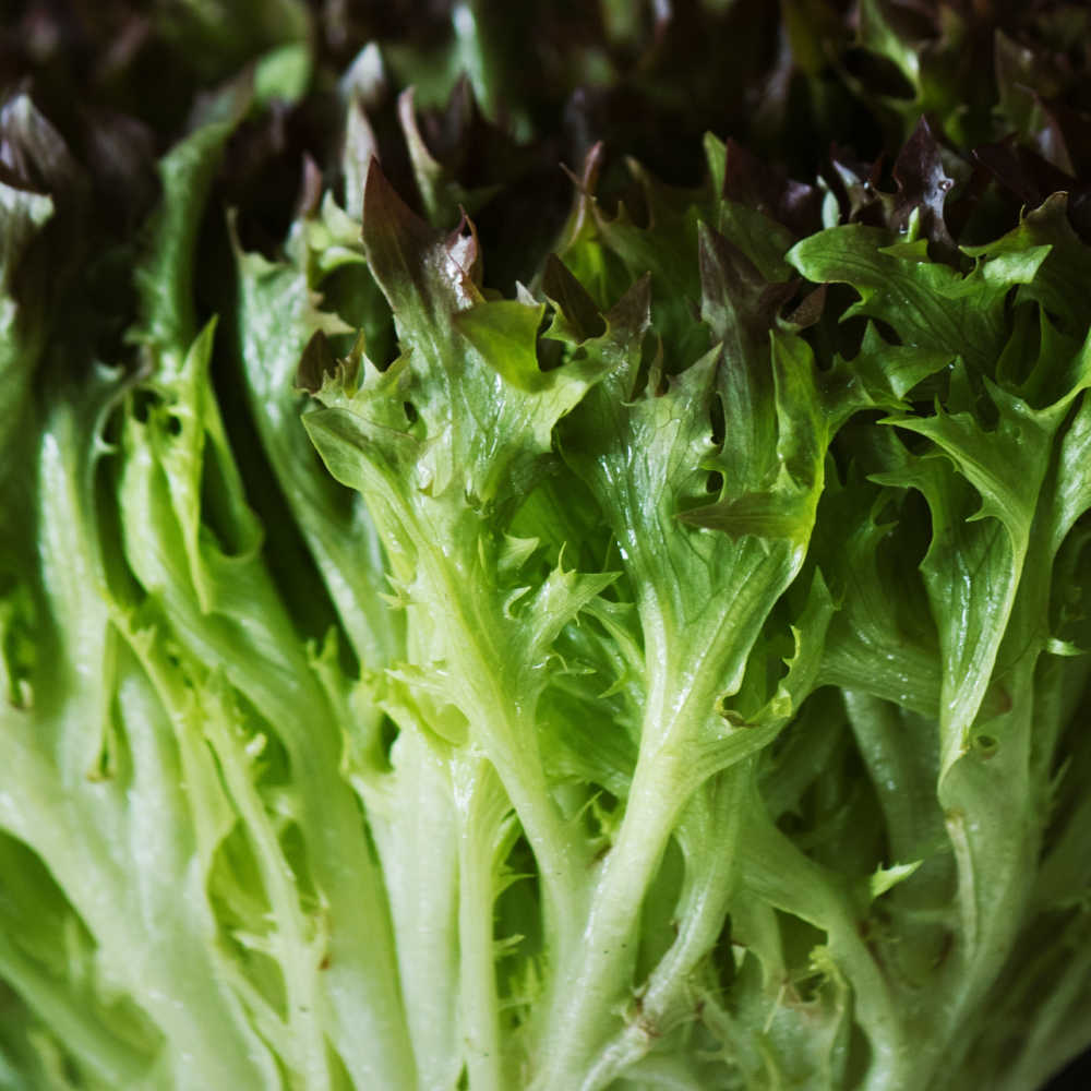 Low FODMAP Leafy Green Vegetables