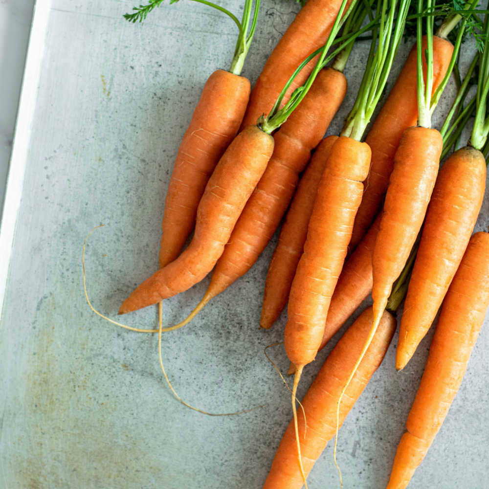 Low FODMAP Root Vegetables