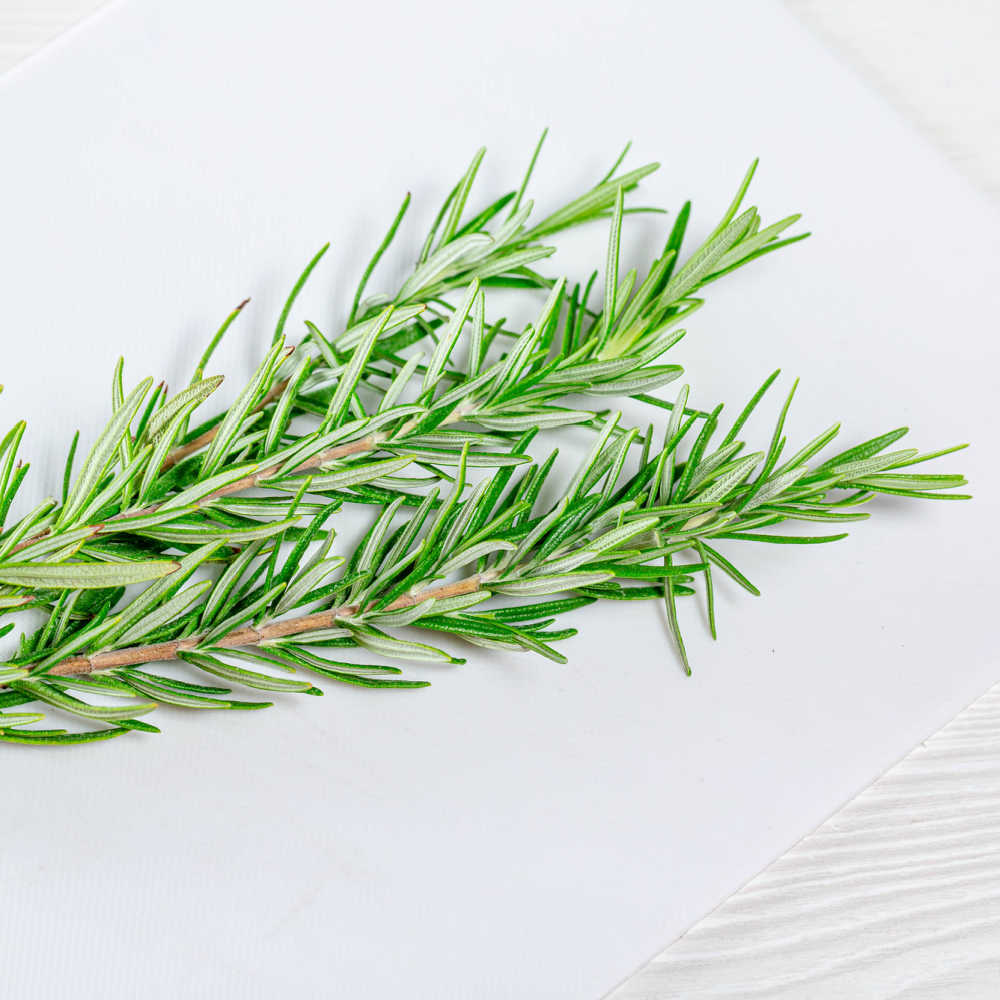 Rosemary Herb Tea For Cluster Headaches