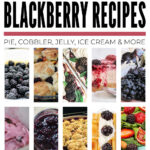 Fresh And Frozen Blackberry Recipes