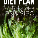 Low FODMAP Diet Plan For IBS & SIBO