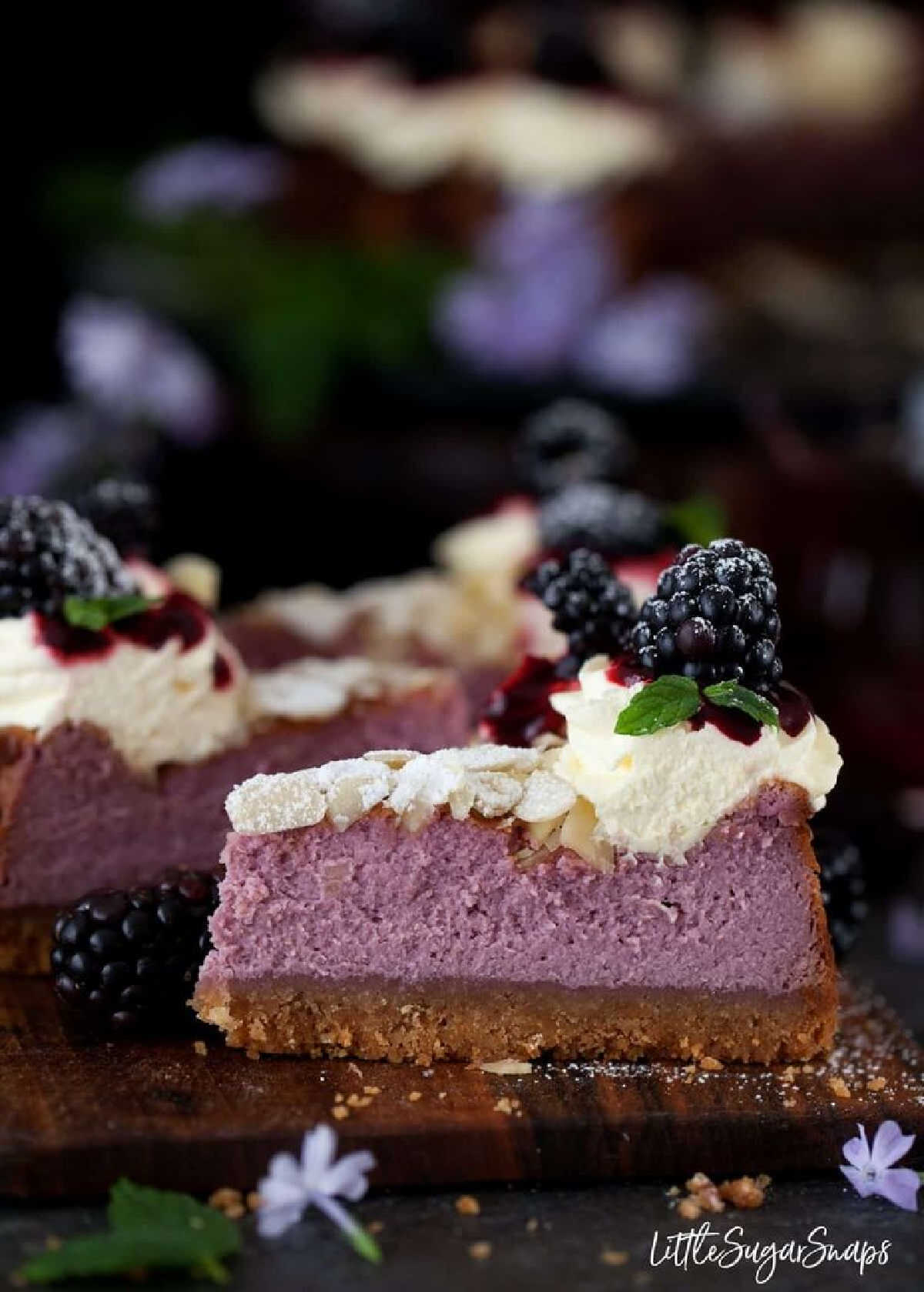Blackberry Cheesecake