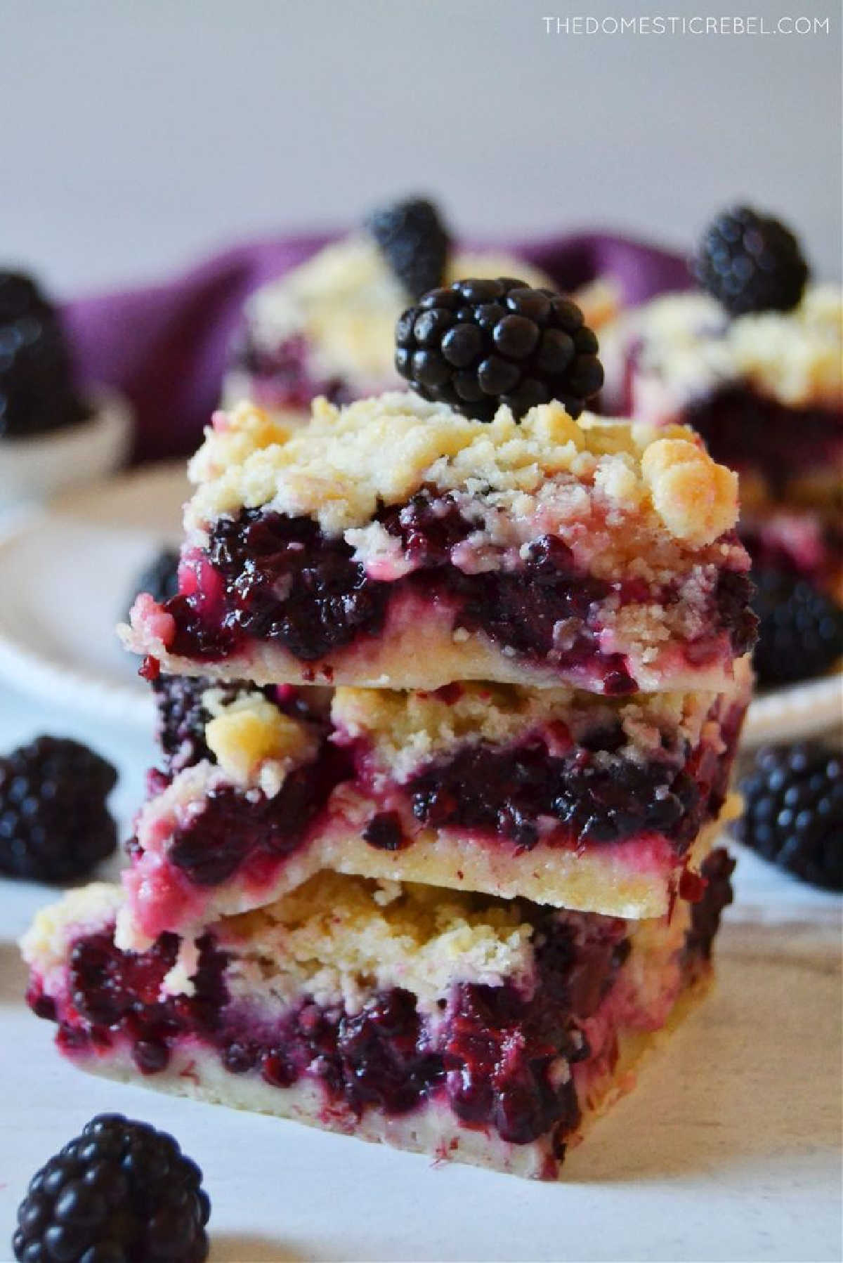Blackberry Crumble Bars