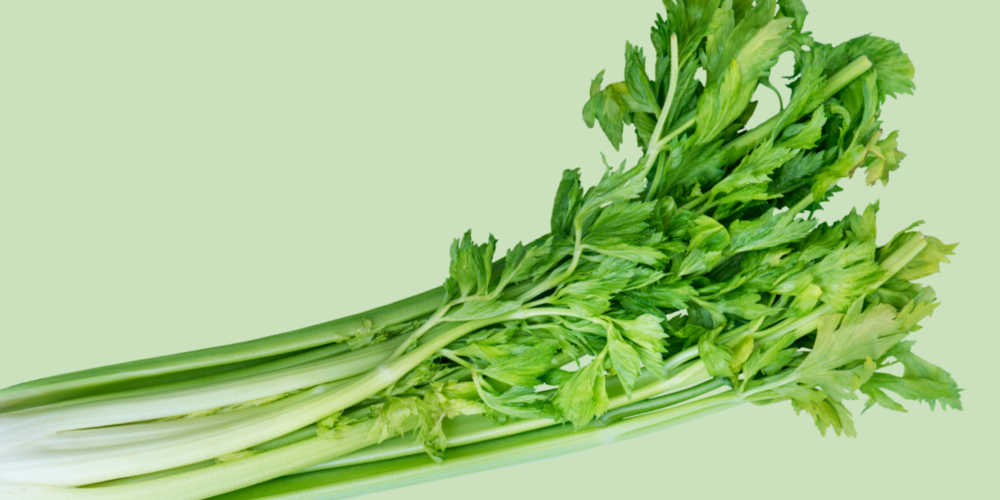Best Sore Throat Drinks - Celery Juice
