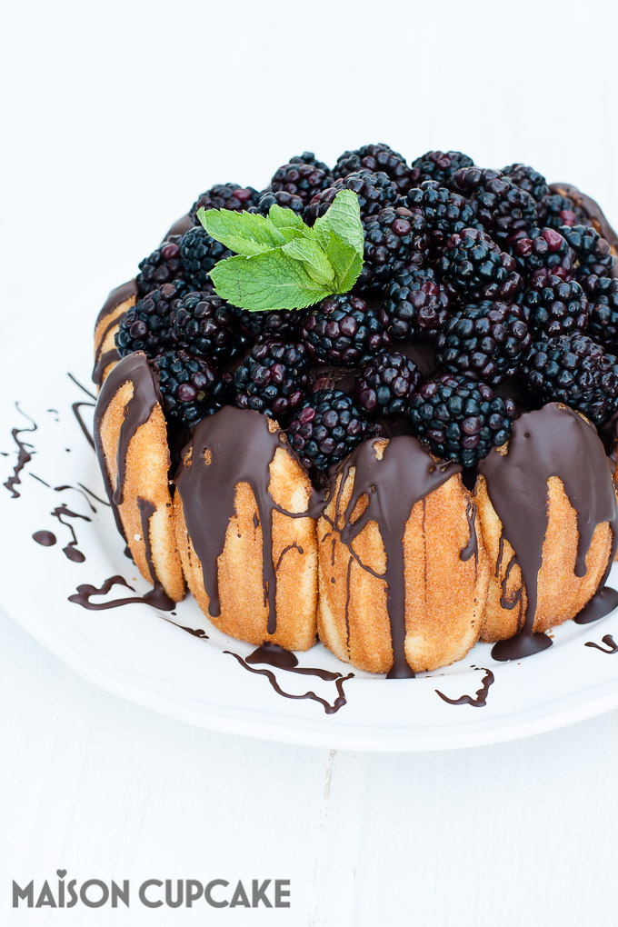 Chocolate Blackberry Charlotte Dessert