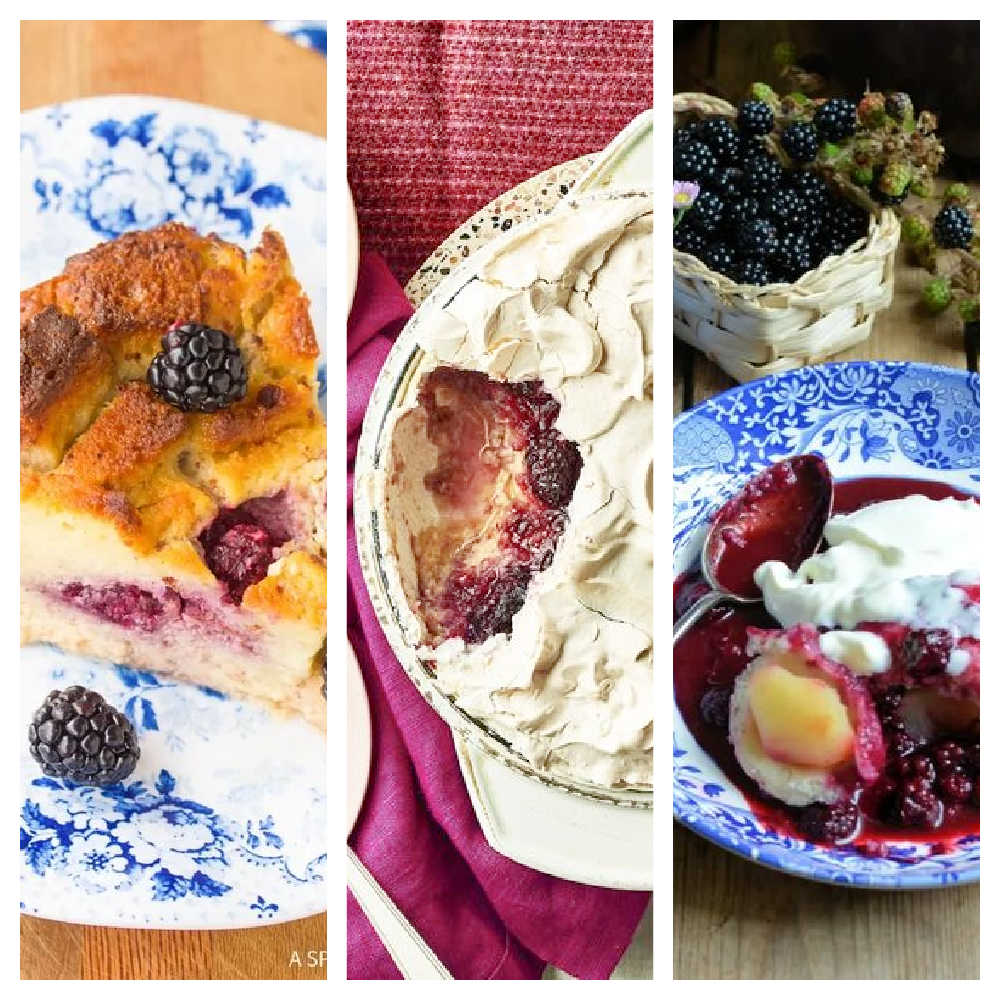 Fresh And Frozen Blackberry Recipes For Blackberry Puddings