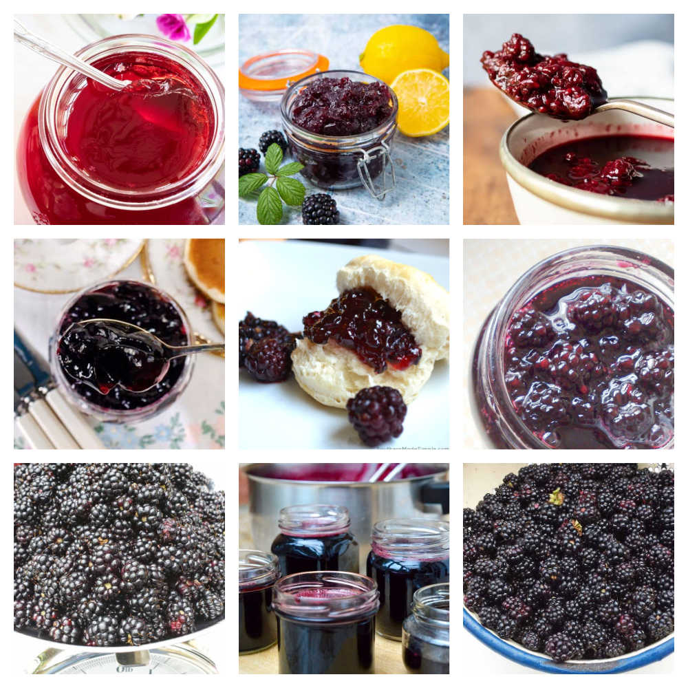 Frozen Blackberry Recipes - Jelly Jam Compote