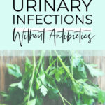 How To Beat Your Urinary Infections Without Antibiotics