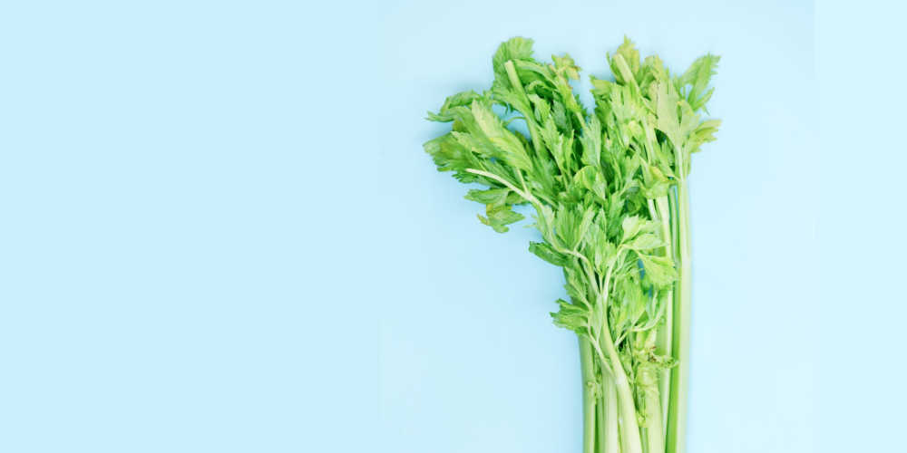 Celery Juice As A Natural Remedy For Urinary Tract Infections