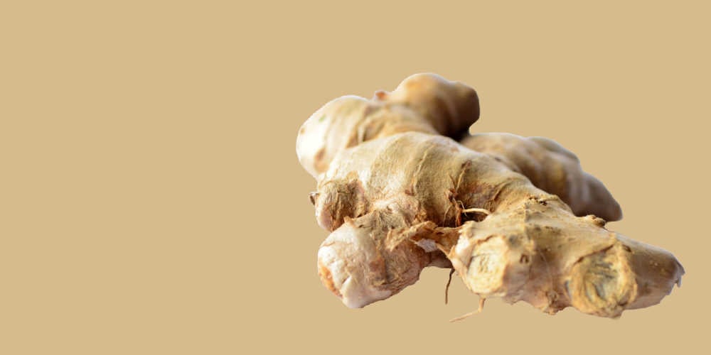 Natural UTI Remedies - Ginger