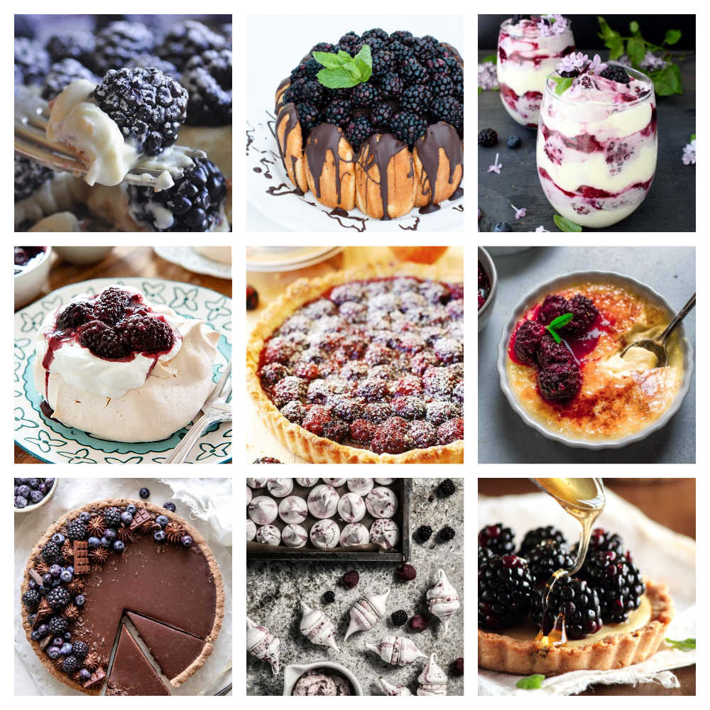 Unusual Blackberry Dessert Recipes With Fresh or Frozen Blackberries