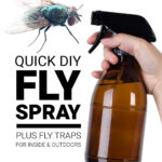 DIY Fly Sprays And Fly Traps