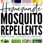 Homemade Mosquito Repellents For Home, Garden & Camping