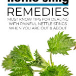 Nettle Sting Remedies