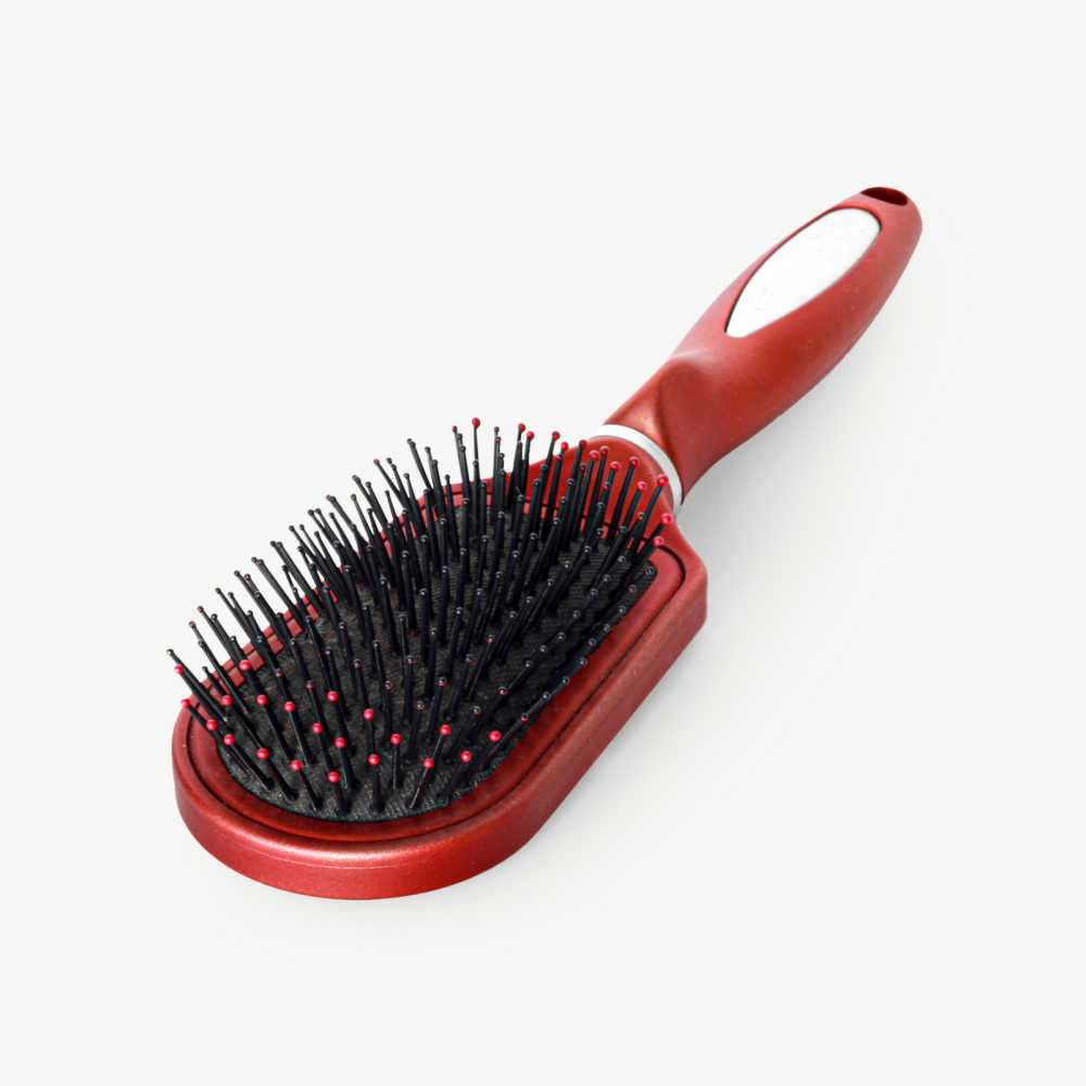 Prevent Head Lice - Do Not Share Brushes