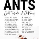 Fire ants plus list of ways to get rid of ants