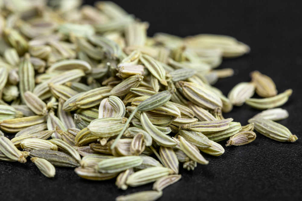 Fennel Seeds As A Natural Antibiotic