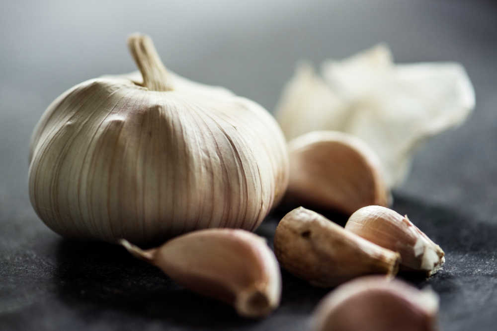 Garlic As A Natural Antibiotic