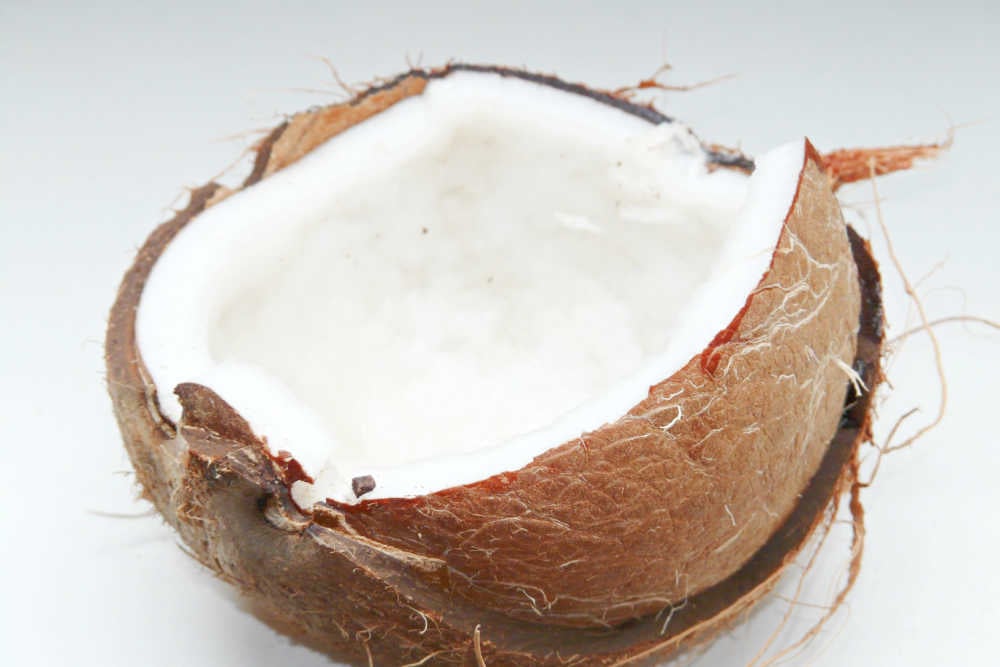 Natural Antibiotics Coconut Oil