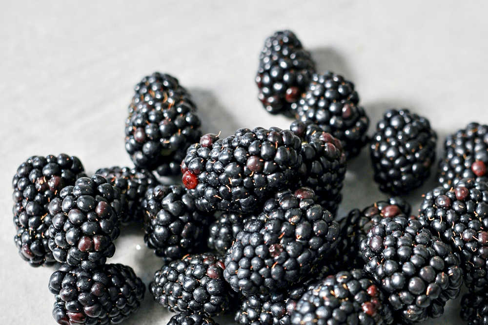 Restoring Gut Health - Fruit Berries