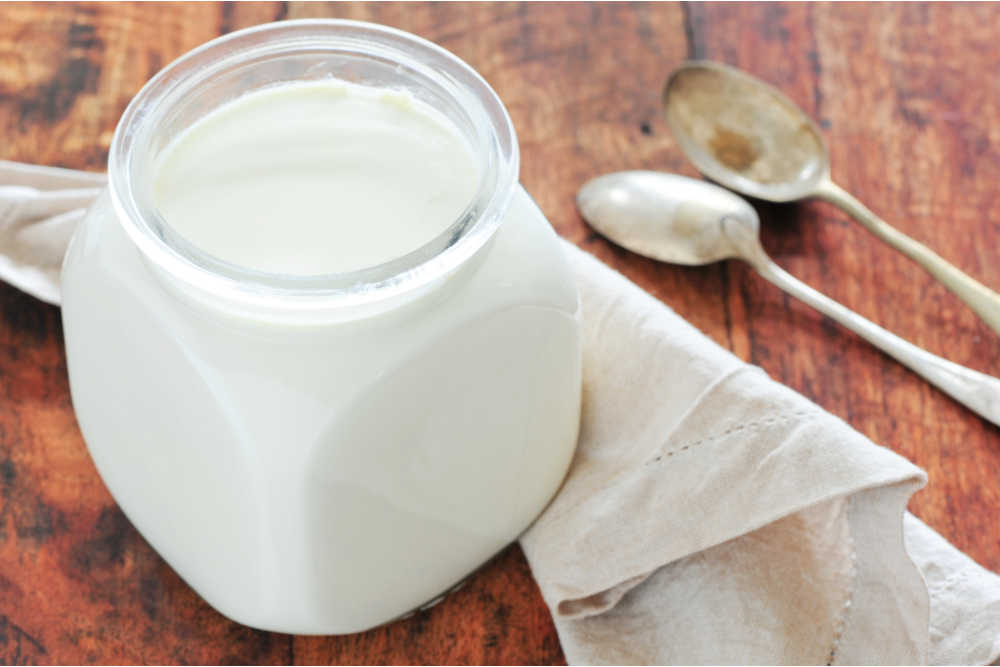 Restoring Gut Health - Yoghurt Bacteria