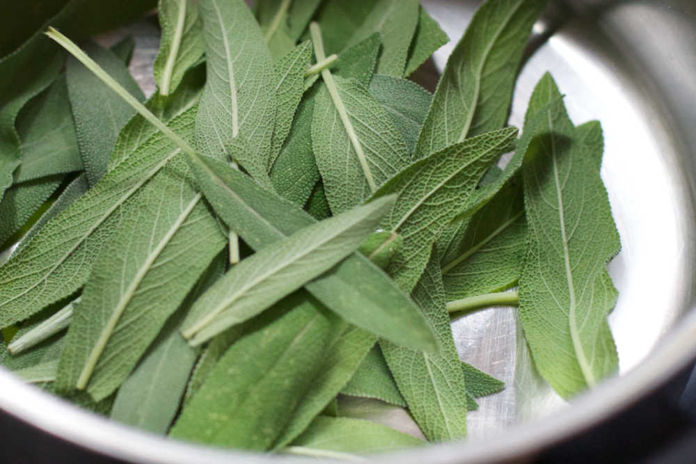 Sage As A Natural Antibiotic