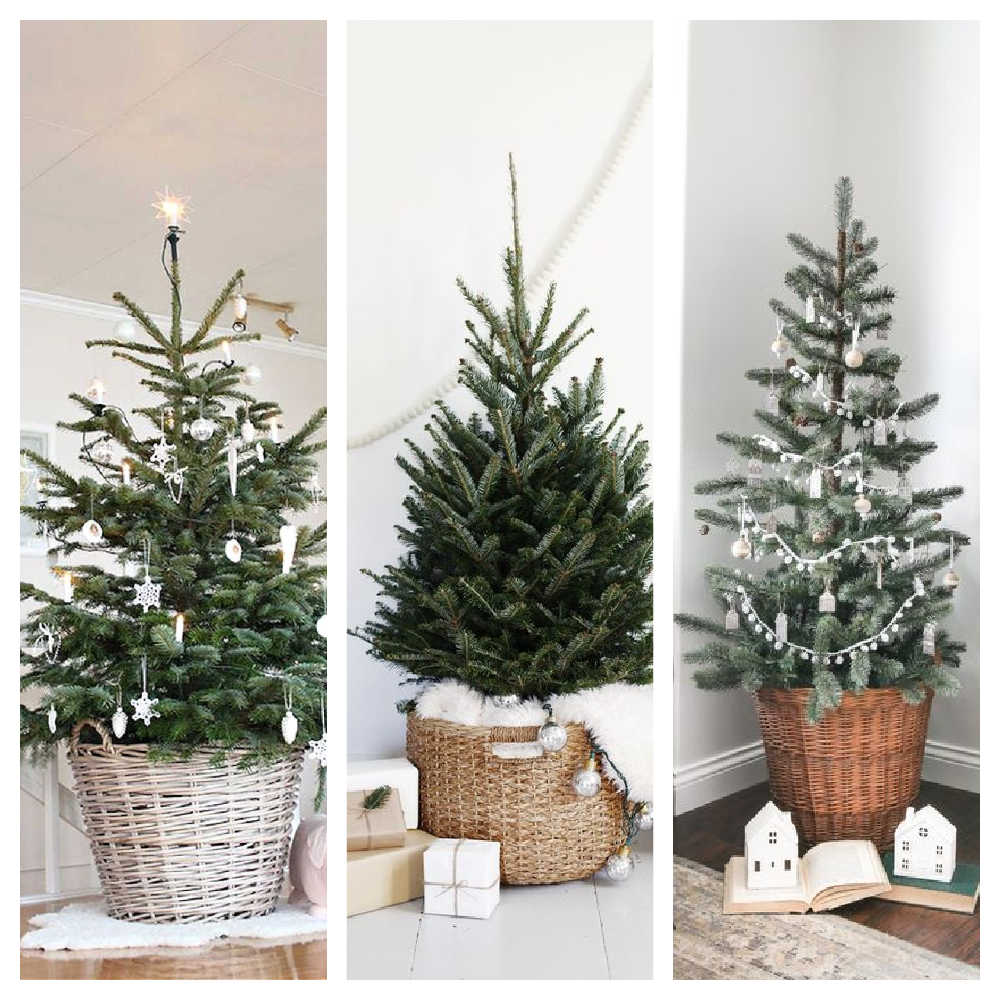 Small Christmas Tree Ideas