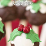 Christmas Pudding Cake Pop Design